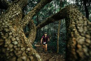 BIB: 
                            <button type="button" onclick="openModal(25671125)" class="btn btn-primary btn-sm float-right btn-popup" data-toggle="modal" data-target=".modal-high-quality">
                        <i class="fas fa-shopping-cart"></i> Add to Cart
                    </button>
                                            <button type="button" onclick="isThisMe(25671125, true)" class="btn btn-success btn-sm float-right btn-popup btn-isme hidden" data-toggle="tooltip" data-placement="bottom" title="นี่คือรูปของคุณใช่ไหม คลิกที่นี่เพื่อเอาเข้าอัลบั้ม">
                        <i class="fas fa-plus"></i> Add to album
                    </button>
                    <button type="button" onclick="isThisMe(25671125, false)" class="btn btn-warning btn-sm float-right btn-popup btn-isnotme hidden">
                        <i class="fas fa-ban"></i> Remove from album
                    </button>